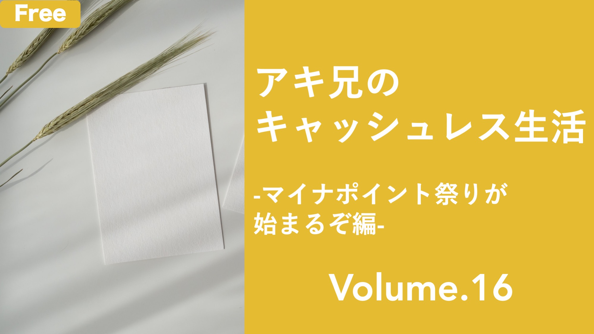 マイナポイント祭りが始まるぞ!!! 編 | NCB Library 金融・決済の ”なぜ?!” が見える