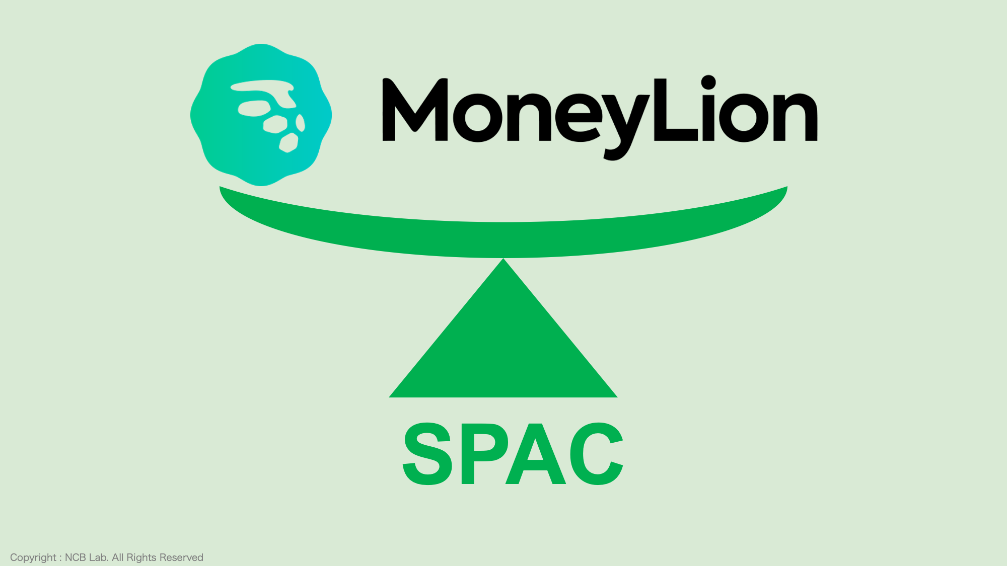 マネーライオンがSPAC公開へ | NCB Library 金融・決済の ”なぜ?!” が見える
