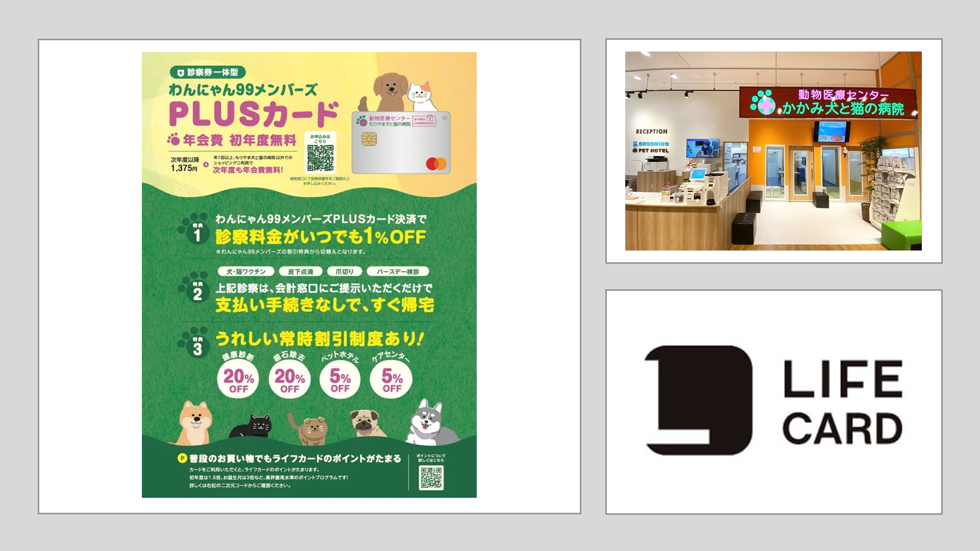 ペット診療費の負担を減らす新しい提携カード | NCB Library 金融・決済の ”なぜ?!” が見える